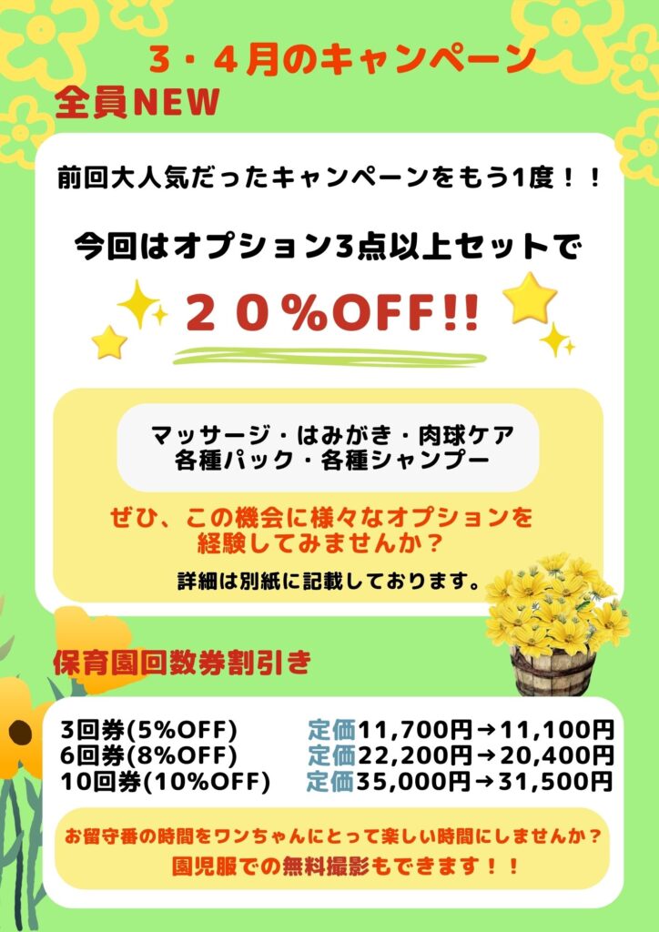 3月4月のキャンペーン🌸