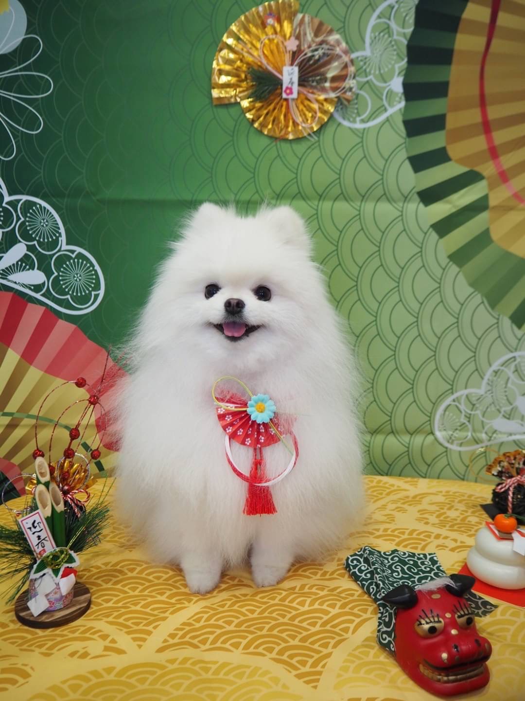 ギャラリー
