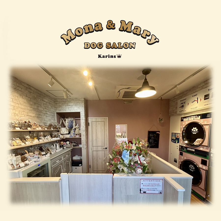 Karins Salon
