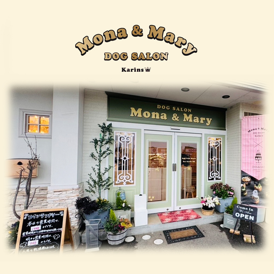 Karins Salon