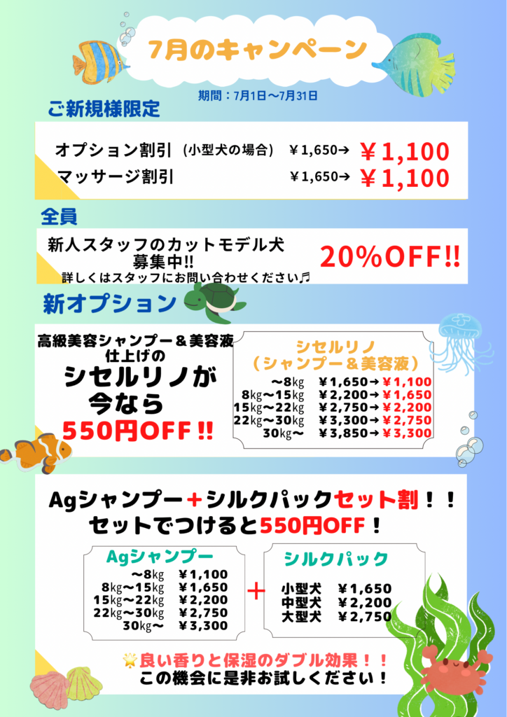 7月のキャンペーン