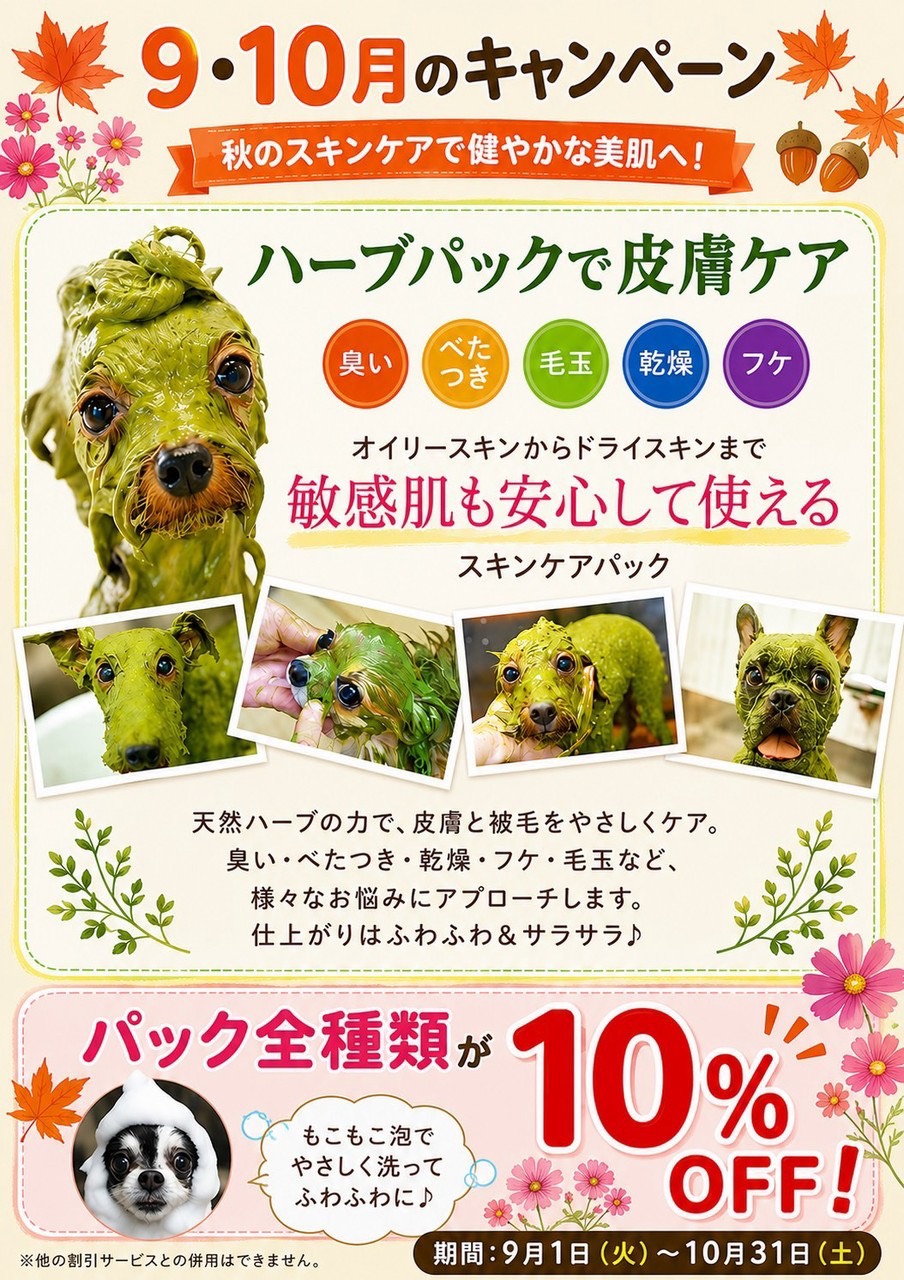 9月10月のキャンペーン