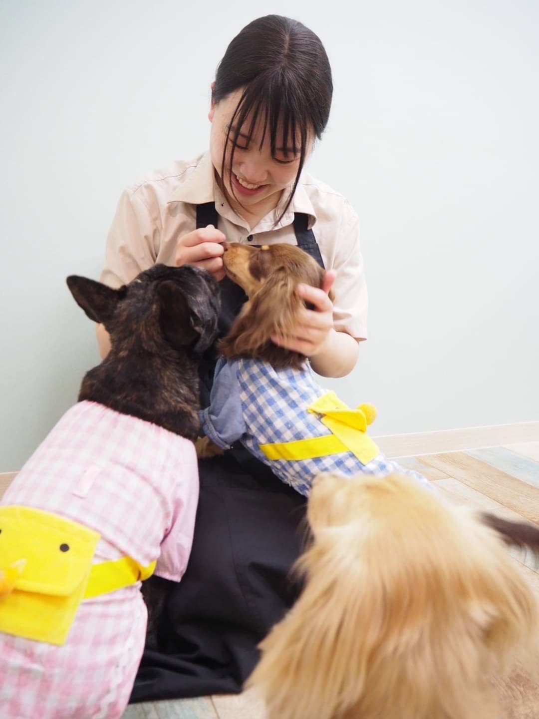前田日和