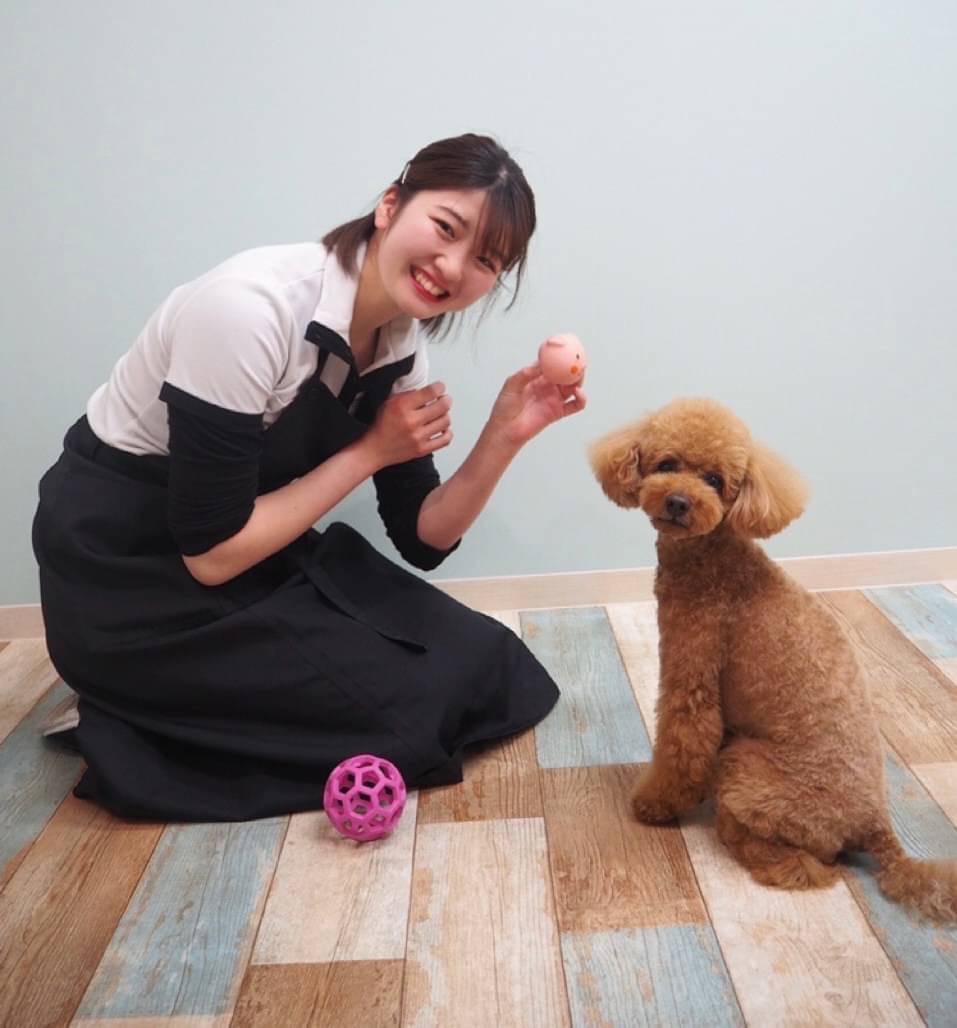 瀬戸 明日香